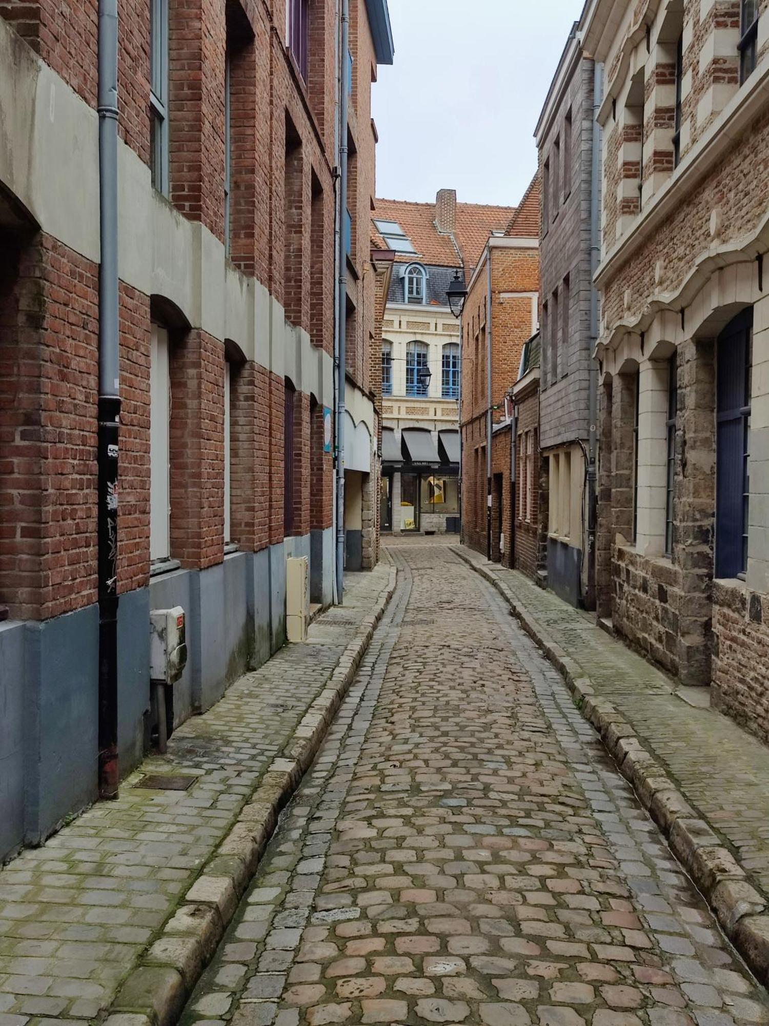 Studio Passage Des Arts - Vieux 里尔 外观 照片